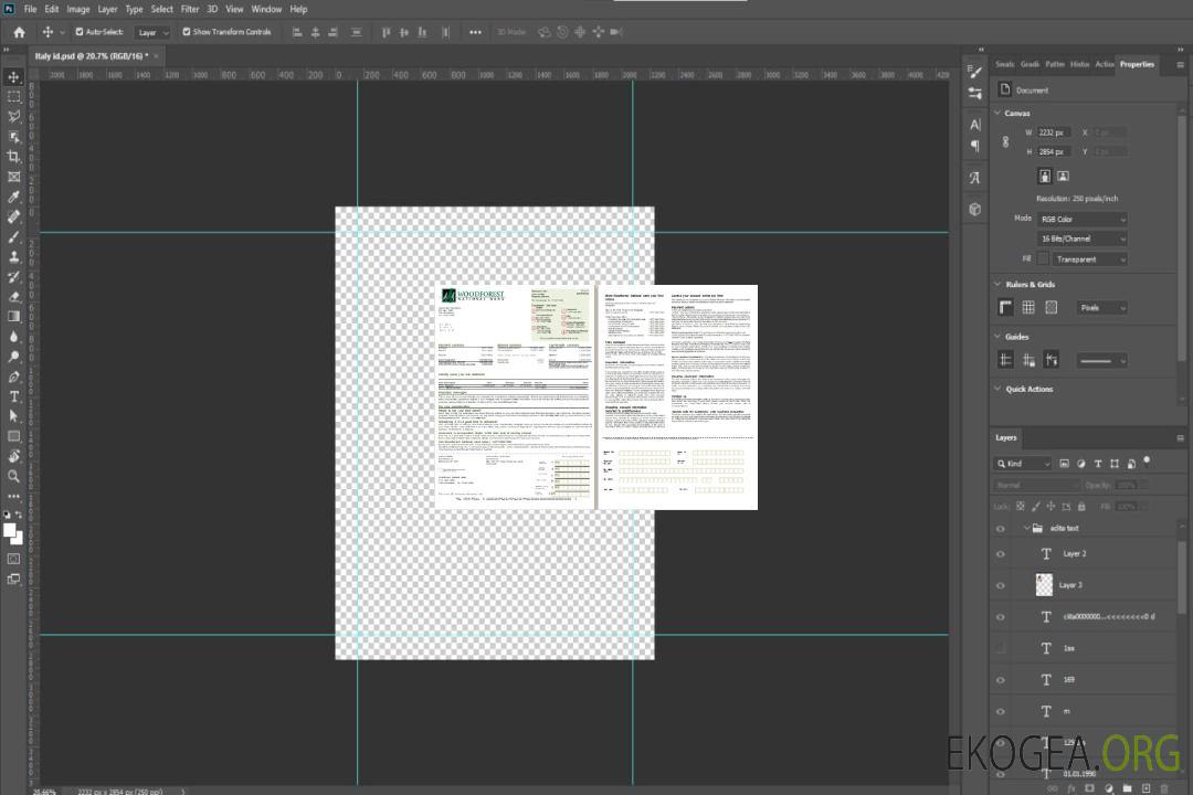 Relevé hypothécaire de la banque nationale Australia Woodforest, 2 pages, 1, 2 scr template